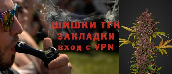 прущие грибы Абаза