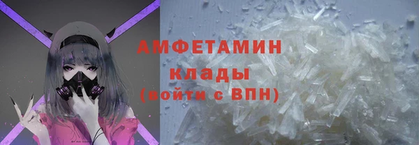 прущие грибы Абаза