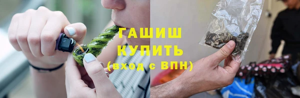 прущие грибы Абаза