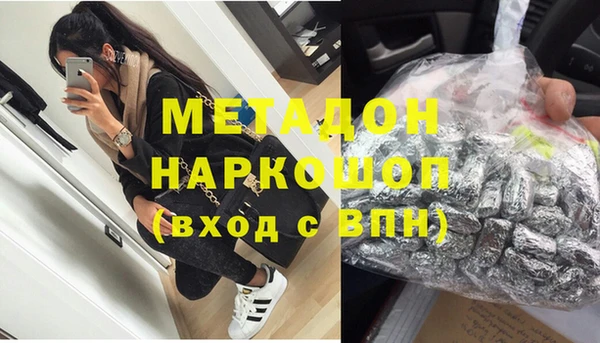 прущие грибы Абаза