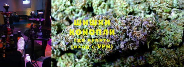 прущие грибы Абаза