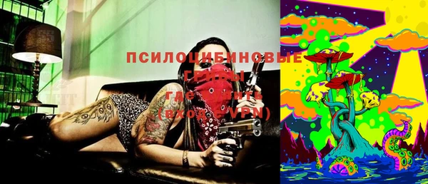 прущие грибы Абаза