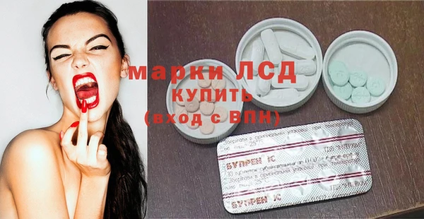 прущие грибы Абаза