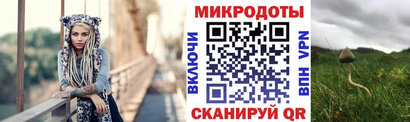 Галлюциногенные грибы мицелий  наркотики  дарк нет как зайти  Новое Девяткино 
